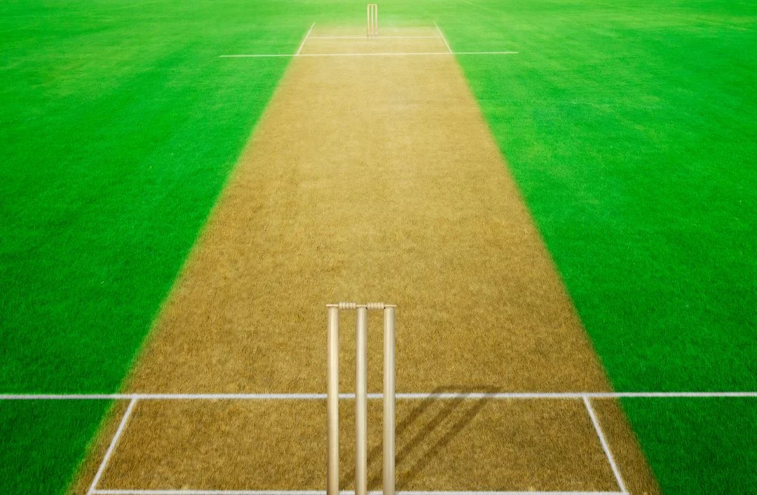 Vaswani Starlight Cricket Pitch